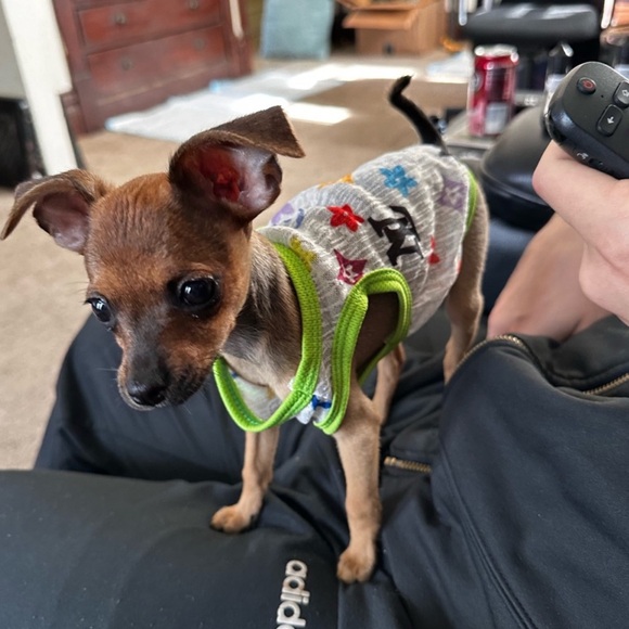 Meet Your Posher - Picture 6 of 16